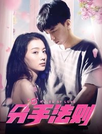 分手法则 (2019)