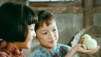 «Мои воспоминания о старом Пекине (1983)» — обои к фильму #4