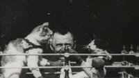 «Кошачий бокс (1894)» — обои к фильму #1