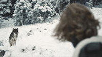 «The Wolf (2018)» — обои к фильму #1