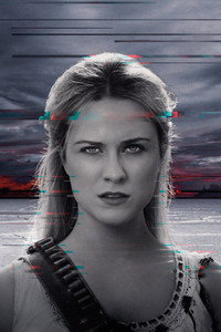 Постер сериала «Мир Дикого Запада (2016-2022)» — (7 из 72)