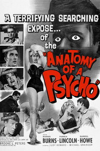 Постер фильма «Анатомия психоза (1961)» — (8 из 10)