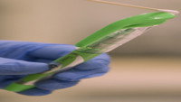 The Green Pen