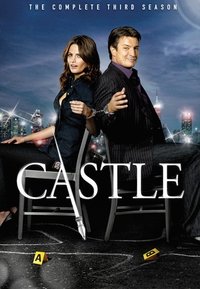 Castle 3×1