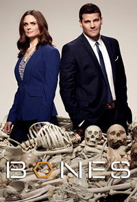 Постер сериала «Кости (2005 - 2017)» — (26 из 181)