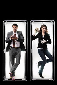 Постер сериала «Кости (2005 - 2017)» — (43 из 181)