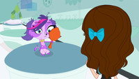 Bad Hair Day