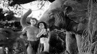 «Tarzan Revisited (2017)» — обои к фильму #2