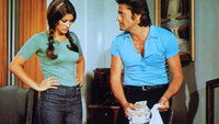 «Мошенники (1976)» — обои к фильму #1