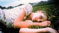 Virgin suicides