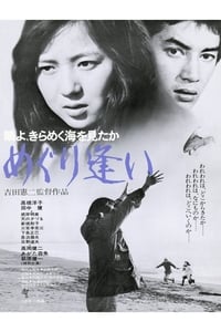 鴎よ、きらめく海を見たか　めぐり逢い (1975)