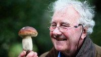 «The Magic of Mushrooms (2014)» — обои к фильму #1