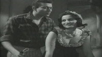 «Вор и собаки (1962)» — обои к фильму #2