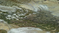Wild South Coast