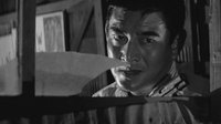 Wolves, Pigs & Men