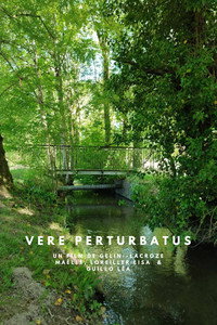 Vere Perturbatus