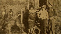 «Love Aflame (1917)» — обои к фильму #1
