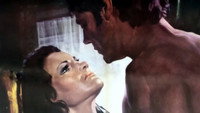 «Дневная красавица, ночная жена (1971)» — обои к фильму #1