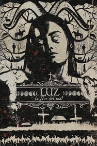 Luz: The Flower of Evil (2019)