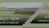 Chilbolton Down in February