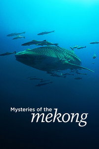 Постер сериала «Mysteries of the Mekong (2017)» — (2 из 5)