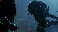 Aliens vs. Predator : Requiem