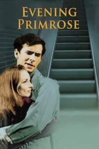 movie-images