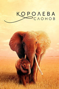 Постер фильма «Королева слонов (2018)» — (8 из 21)