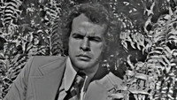 Chapter 94