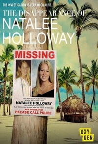 copertina serie tv The+Disappearance+of+Natalee+Holloway 2017