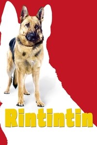 Poster de Rintintin