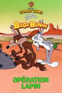 Poster de Opération Lapin