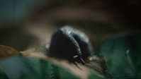 «The Psychonaut (2015)» — обои к фильму #1
