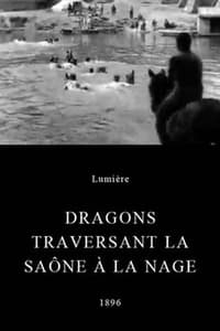 Dragons traversant la Saône à la nage