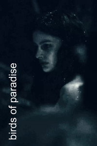 Постер фильма «Райские птицы (2021)» — (8 из 32)