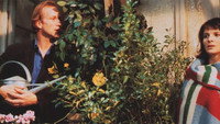 «Кушетка в Нью-Йорке (1996)» — обои к фильму #2