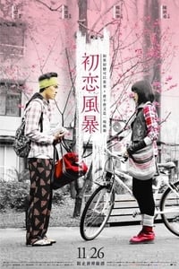 初戀風暴 (2010)