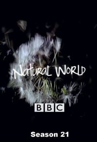 Watch Natural World - Season 21 123Movies