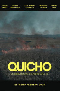 Quicho poster