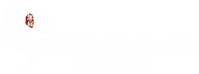 Логотип мультфильма «Зелёная Змея (2021)» — (1 из 13)