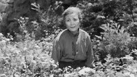 Обои к фильму «Дети Хиросимы (1952)» — (32 из 38)