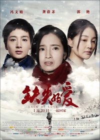 缺失的爱 (2017)