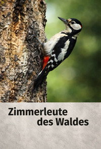Zimmerleute des Waldes