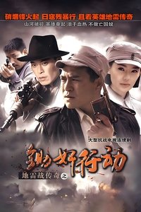 地雷战传奇之锄奸行动 (2010)