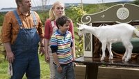 Little Grey Fergie: Country Fun!