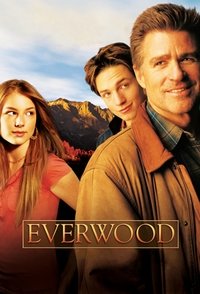 Постер сериала «Любовь вдовца (2002-2006)» — (2 из 34)