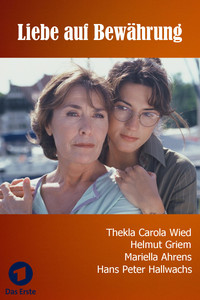Постер к фильму Испытание любви (2004)