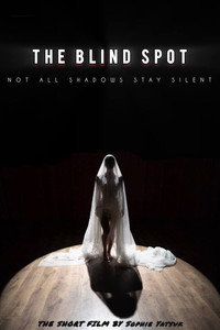The Blind Spot (2025) subtitle poster