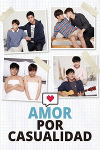 Poster de Amor Por Casualidad