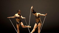 «Body Remix/Goldberg Variations (2008)» — обои к фильму #1